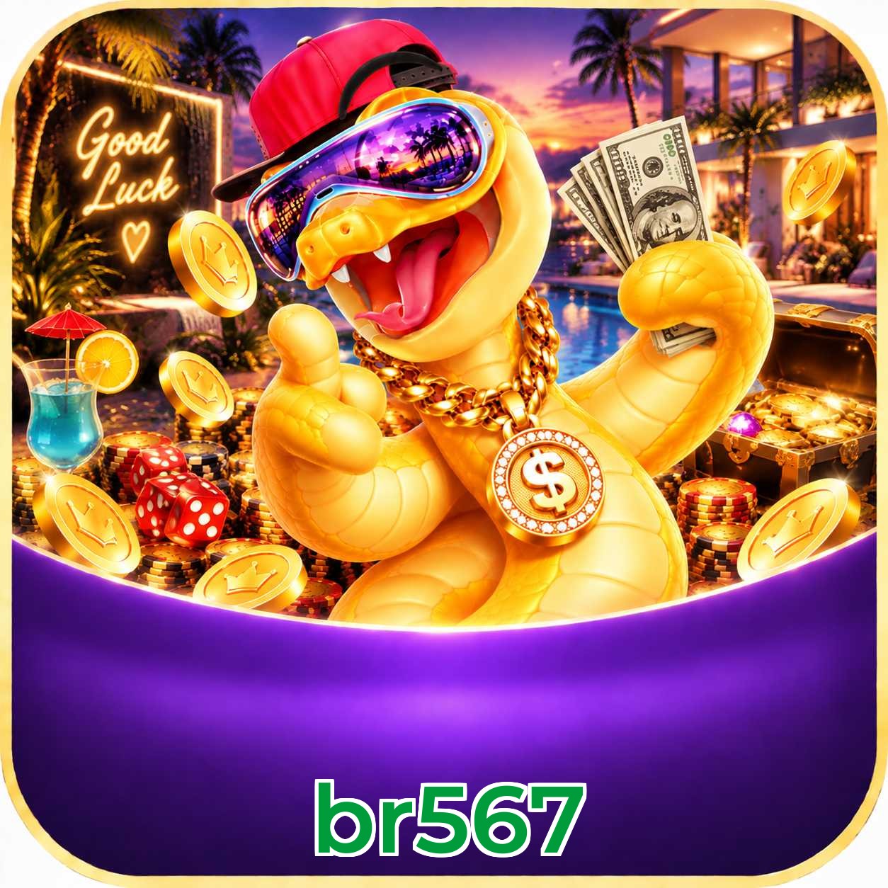 br567 Version History