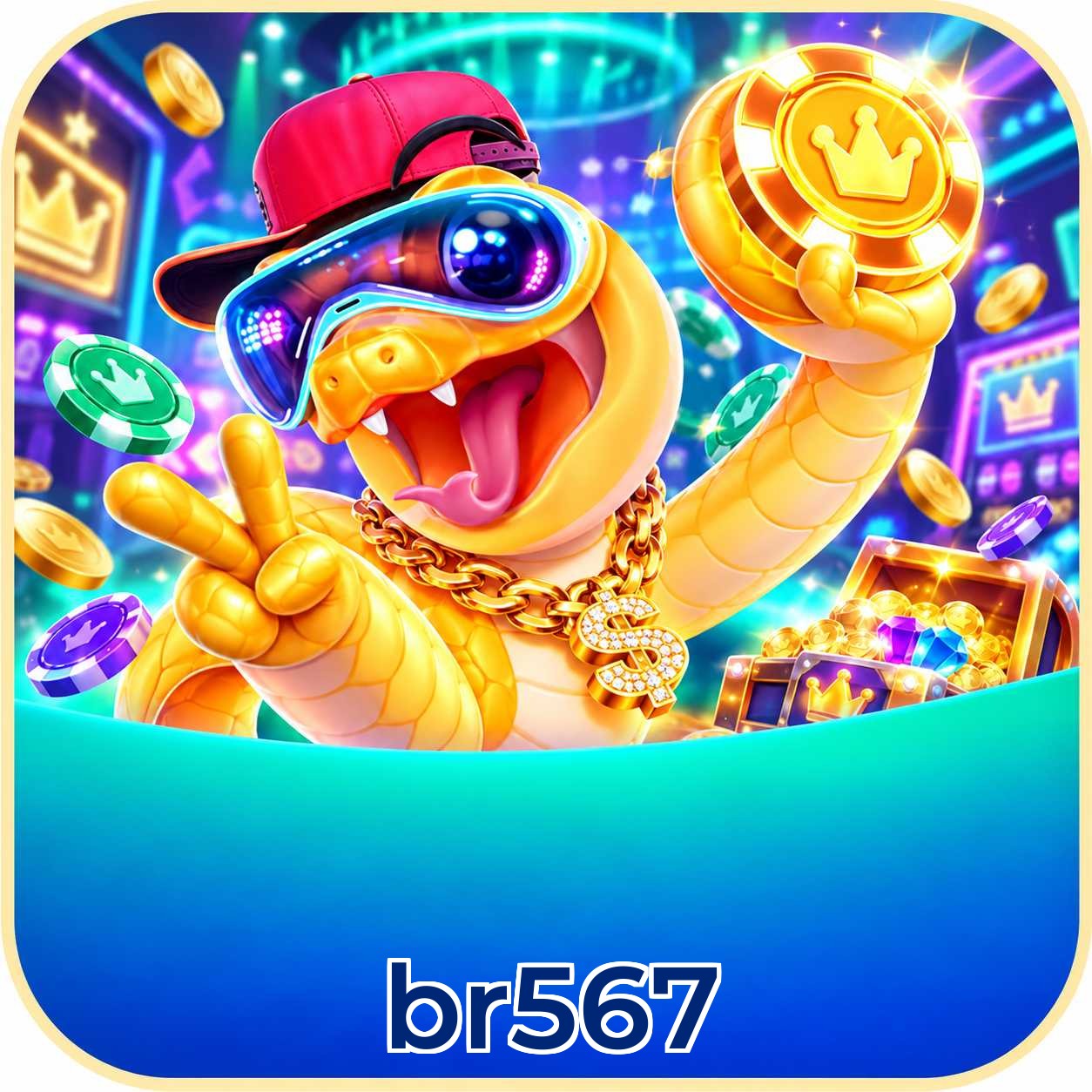 br567 App Features